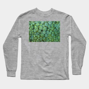 Green Succulent Long Sleeve T-Shirt